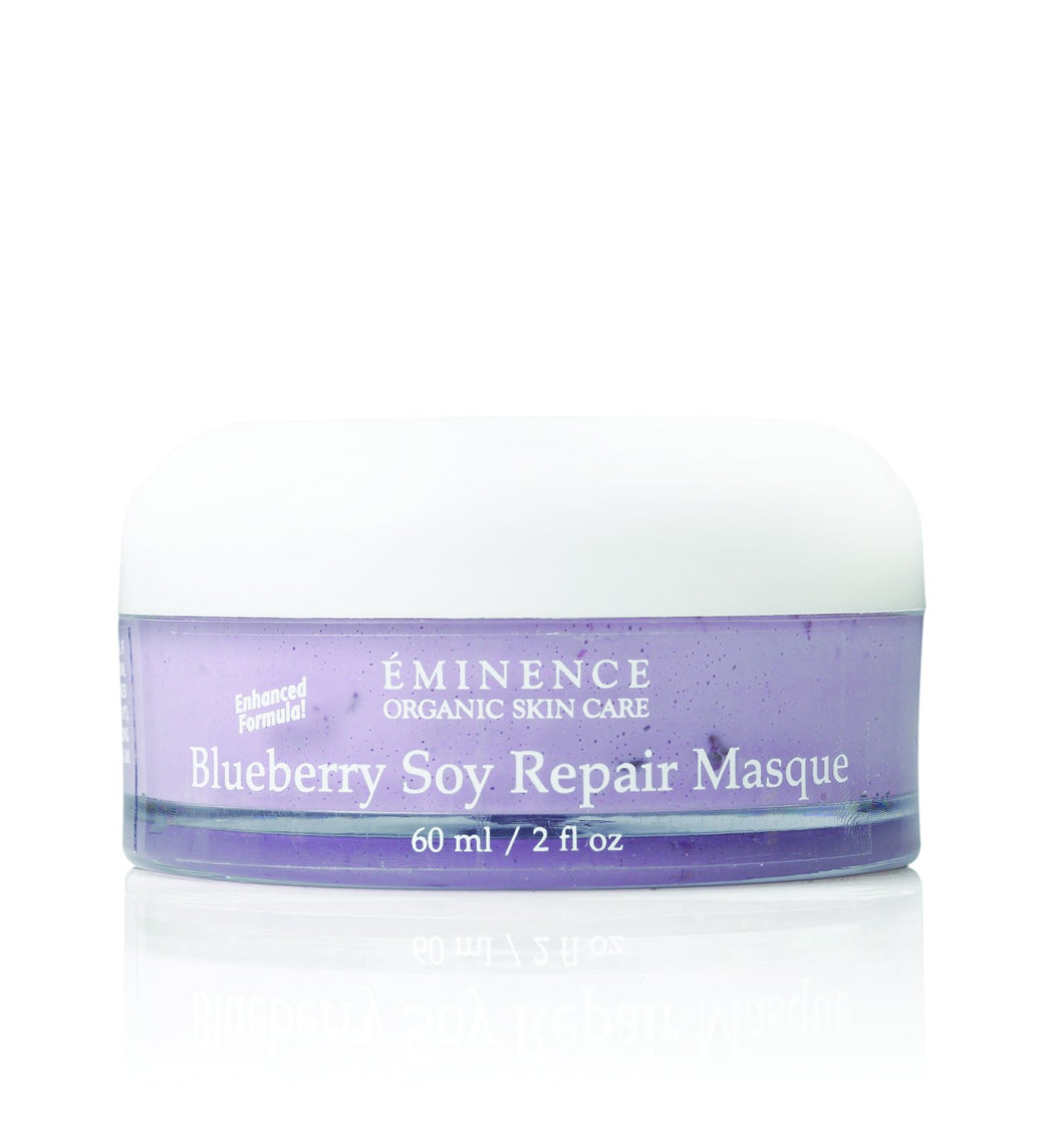 Blueberry Soy Repair Masque 2oz